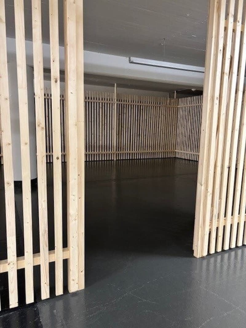 Practical storage room 45m2 for rent in Bern (6)