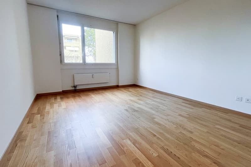 Zimmer1.jpg