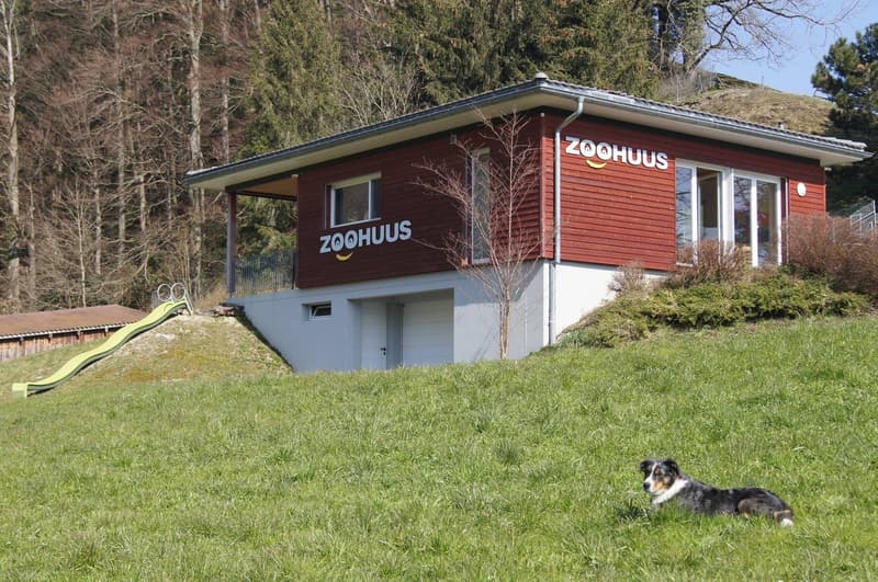 Sehr gepflegtes, wunderbar gelegenes Grundstück mit neuwertigen Tierställen und Zoohuus