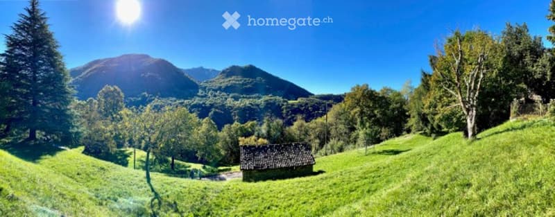 "Wunderschönes Bauland im Herzen von Capriasca von 2'503 m2"