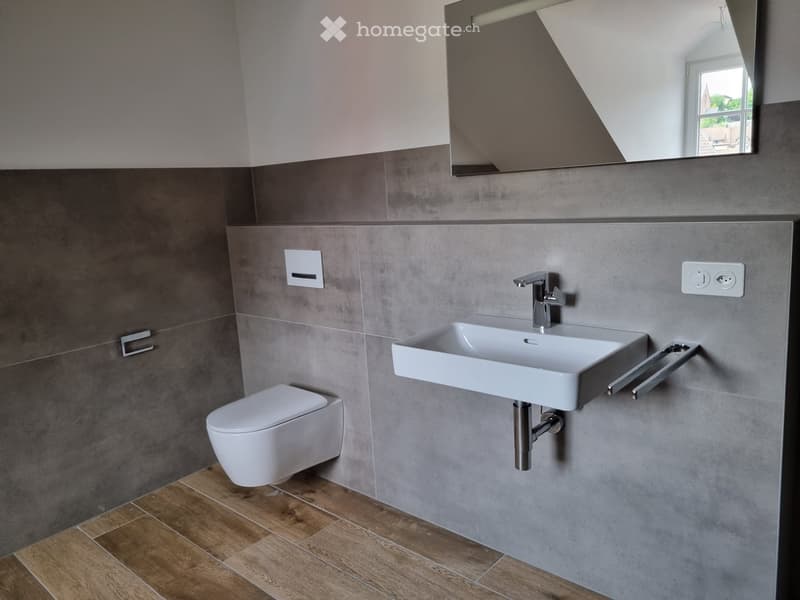 modern bathroom with gray tiles, white sink, flush toilet, faucet, wooden floor