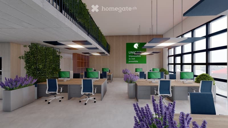 modern office, multiple computers on desks, wooden desk, blue chairs, flower pots, large windows
