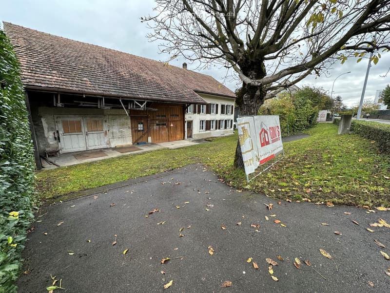 Bauland in Mägenwil (3)