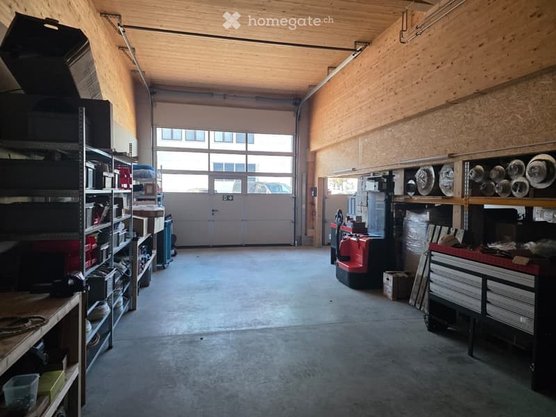 An empty room with wooden ceiling, wooden walls, shelves with boxes and tools, an entrance door, and a vehicle parked outside.