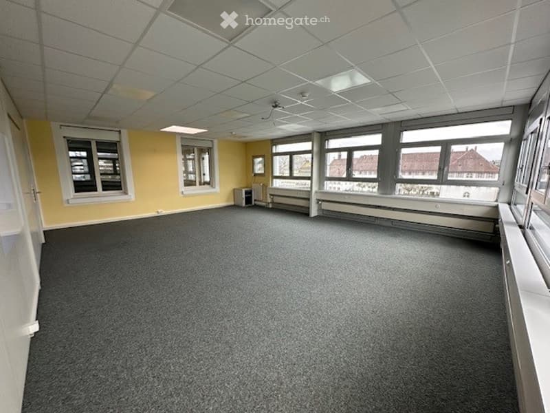 Empty room, gray carpet, yellow walls, ceiling lights, multiple windows, white frames