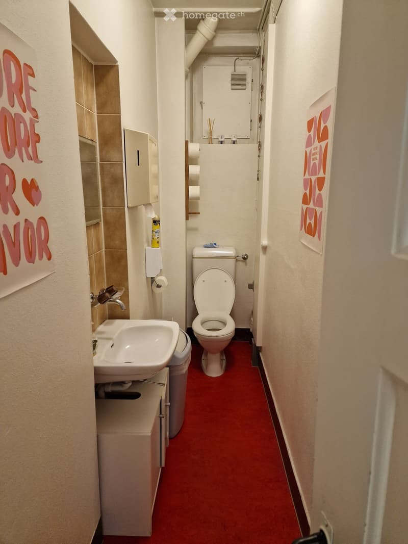 Toilet, sink, white cabinet, red floor, wall mounted tissue dispenser, pink graffiti on wall