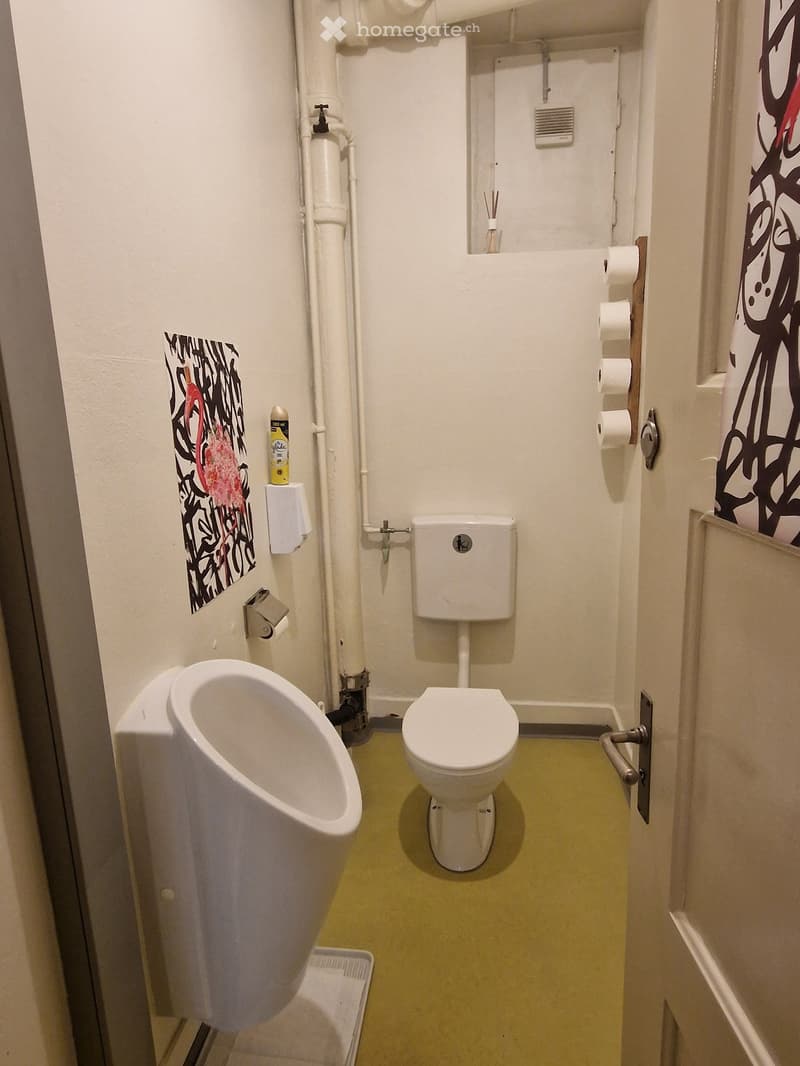 A compact bathroom, white walls, green floor, white toilet, urinal on the left wall, toilet paper holder on the right wall