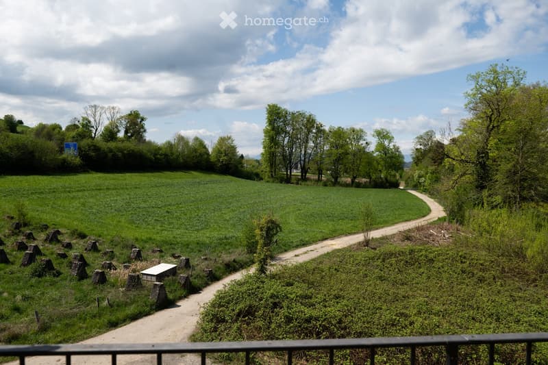 a dirt path in a green field with trees and bushes on both sides