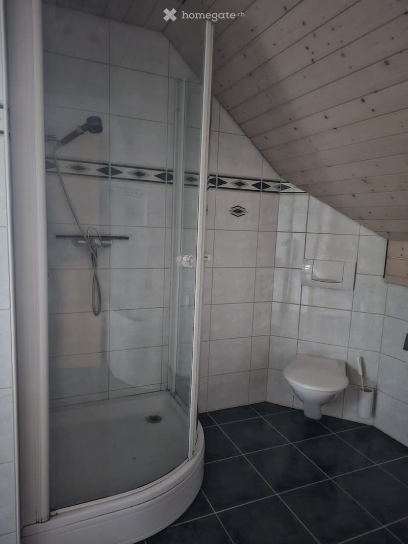 A small bathroom with a glass shower enclosure, tiled walls, a toilet, and a toilet paper holder