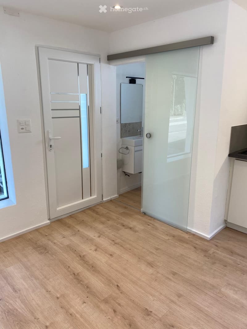 wooden floor, white walls, sliding door, white door, light wooden cabinets, wash basin, toilet
