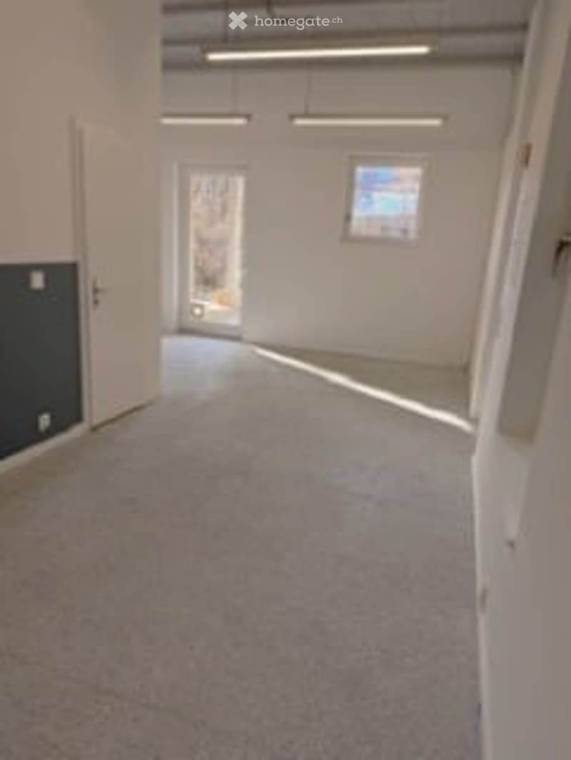empty room, carpet floor, white walls, open door, glass door, windows, overhead lights