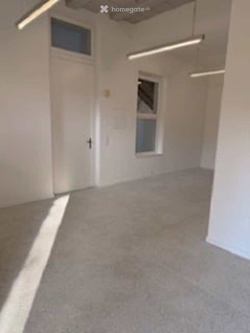 Empty room, white walls, ceiling lights, door, window, carpeted floor