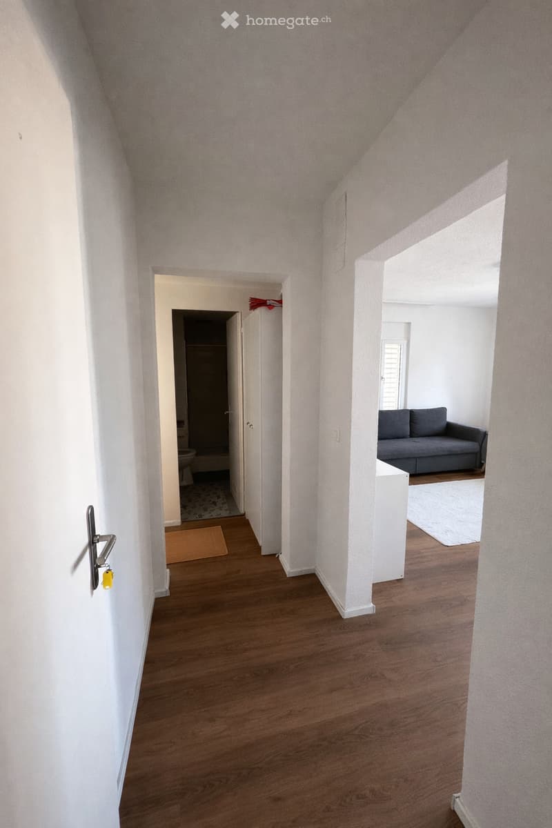 Empty hallway, wooden floor, white walls, doorway to bathroom, entrance to living room with sofa