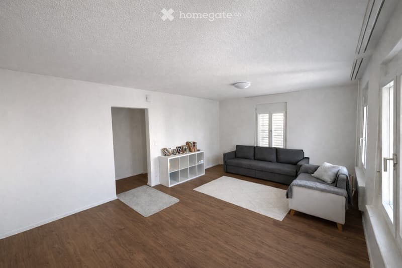 Living room with white walls, wooden floor, two sofas, a white shelf, and two white rugs.
