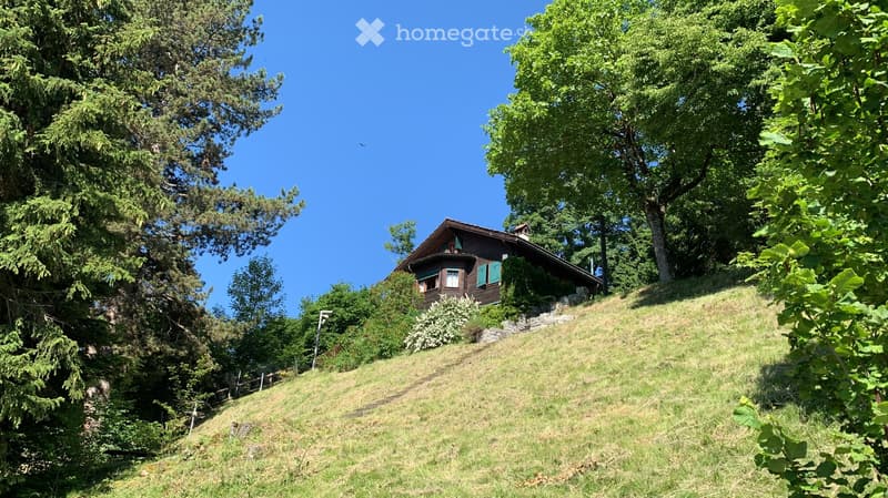 1 story house, brown wooden walls, green window shutters, elevated on a hill, surrounded by greenery