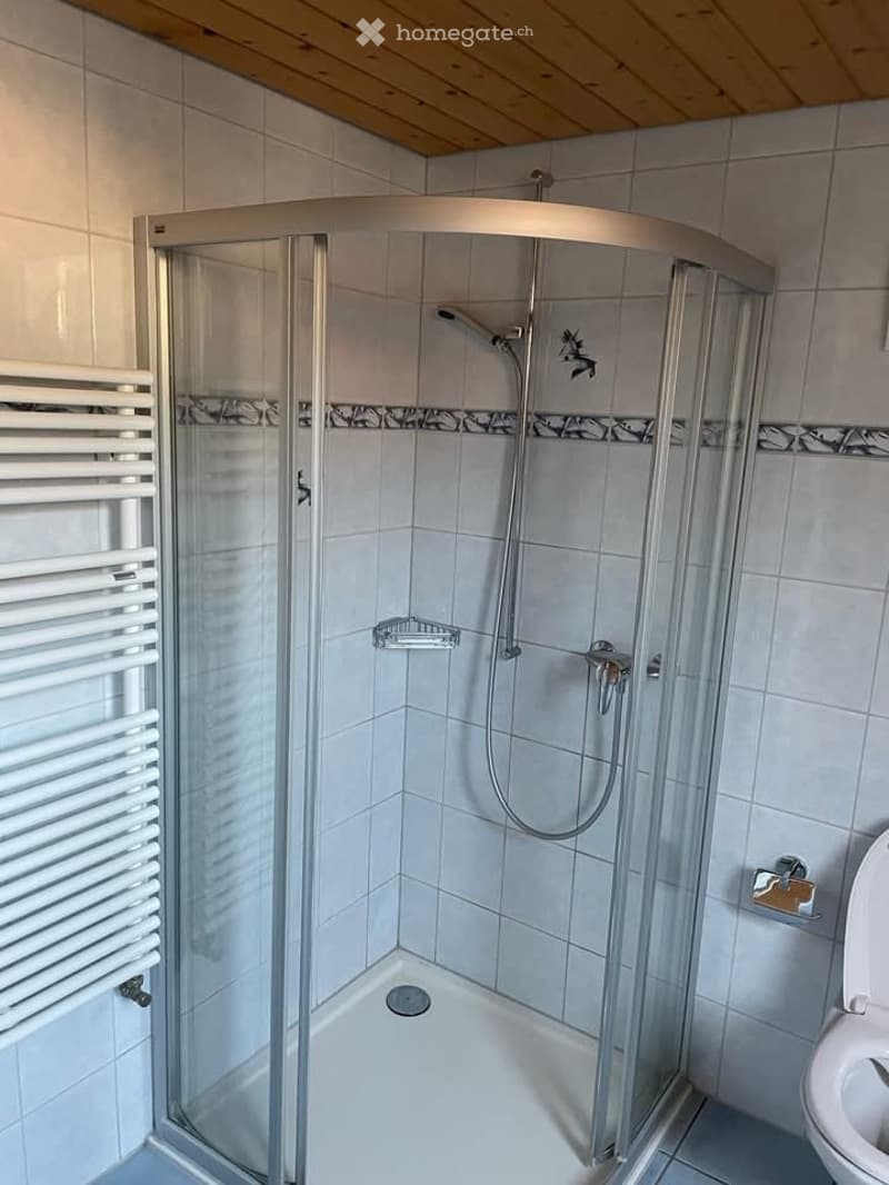 modern bathroom, glass shower enclosure, white tiles, toilet, radiator, shower