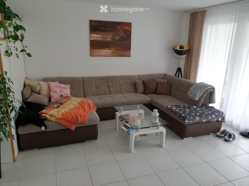 A large corner sofa, glass table, framed artwork, green plant, shoes