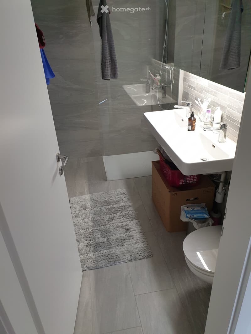 Modern bathroom with glass shower enclosure, white sink, gray tiles, and a toilet.