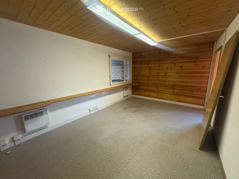 wooden walls, carpeted floor, windows, light fixture, heating units