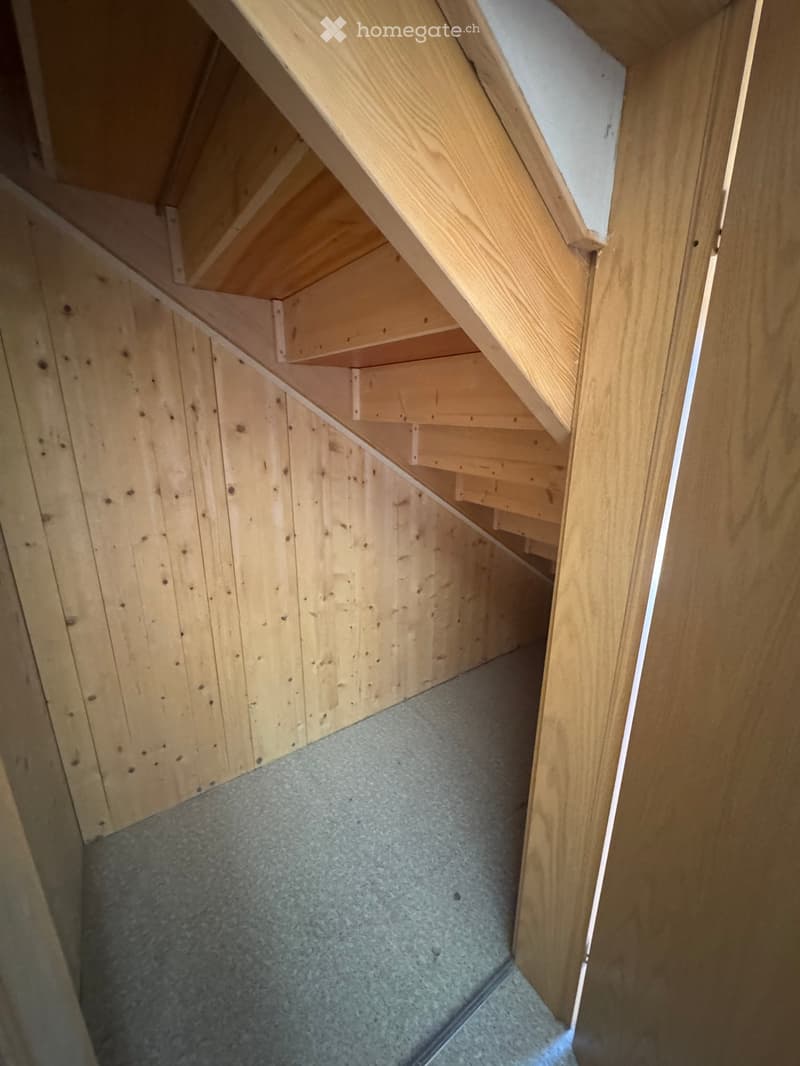 wooden stairs, wooden panels on wall, carpeted floor