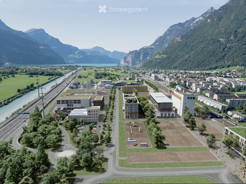 Cityscape with many buildings, green landscape, mountains, water