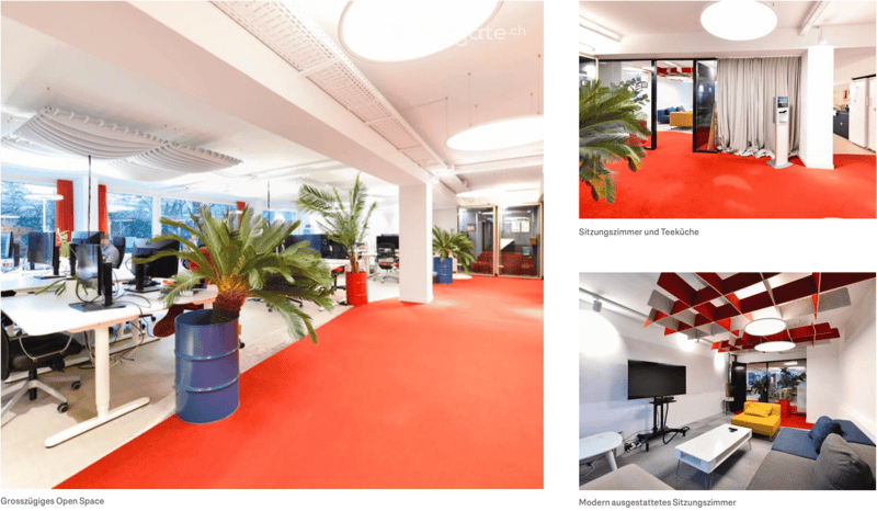 Open space with desks, large plant, red carpet, modern ceiling design, bright lighting