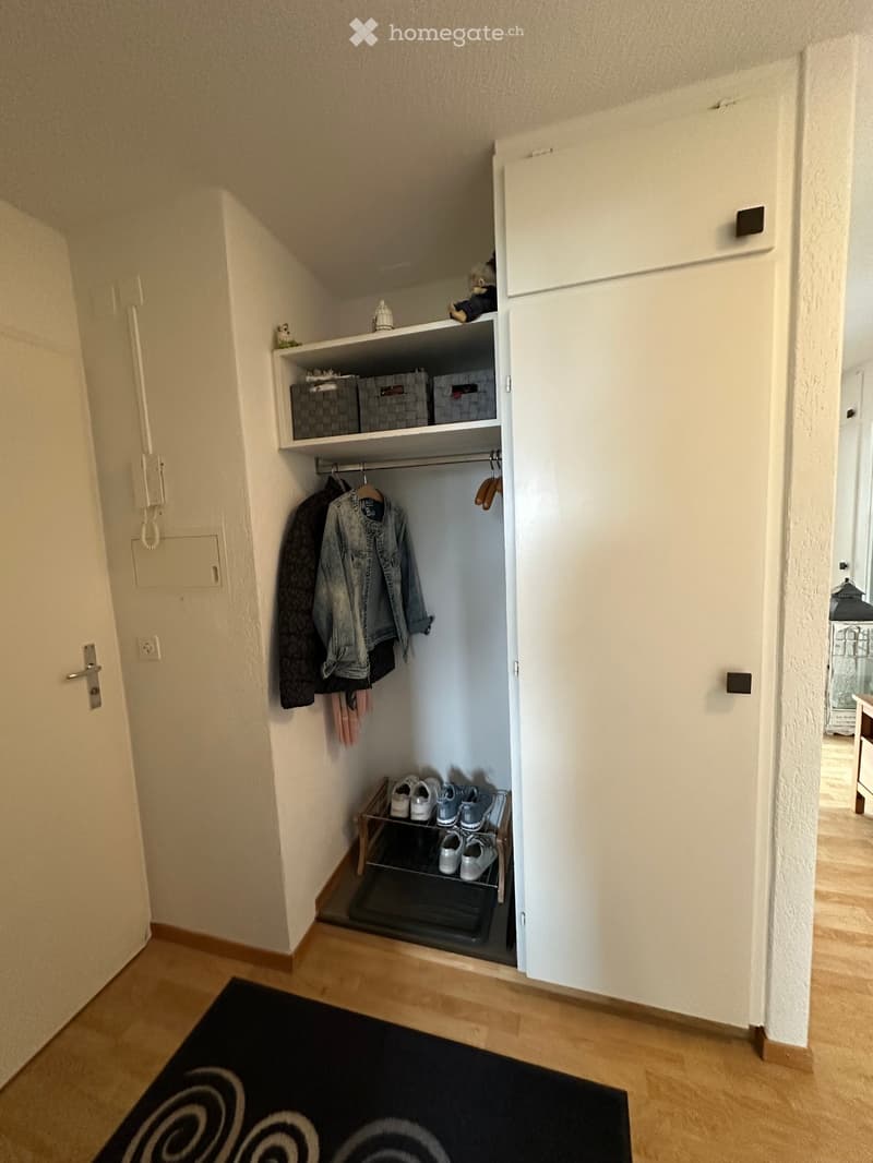 Entryway with wooden floor, black rug, full-length mirror, coat rack, hanging jackets, storage boxes on shelves, and shoes on rack.