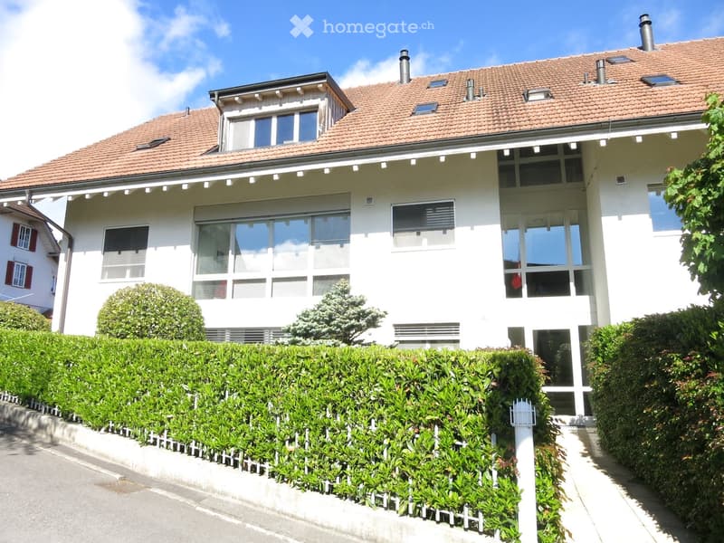 2 story house, white exterior, brown roof, large windows, terrace