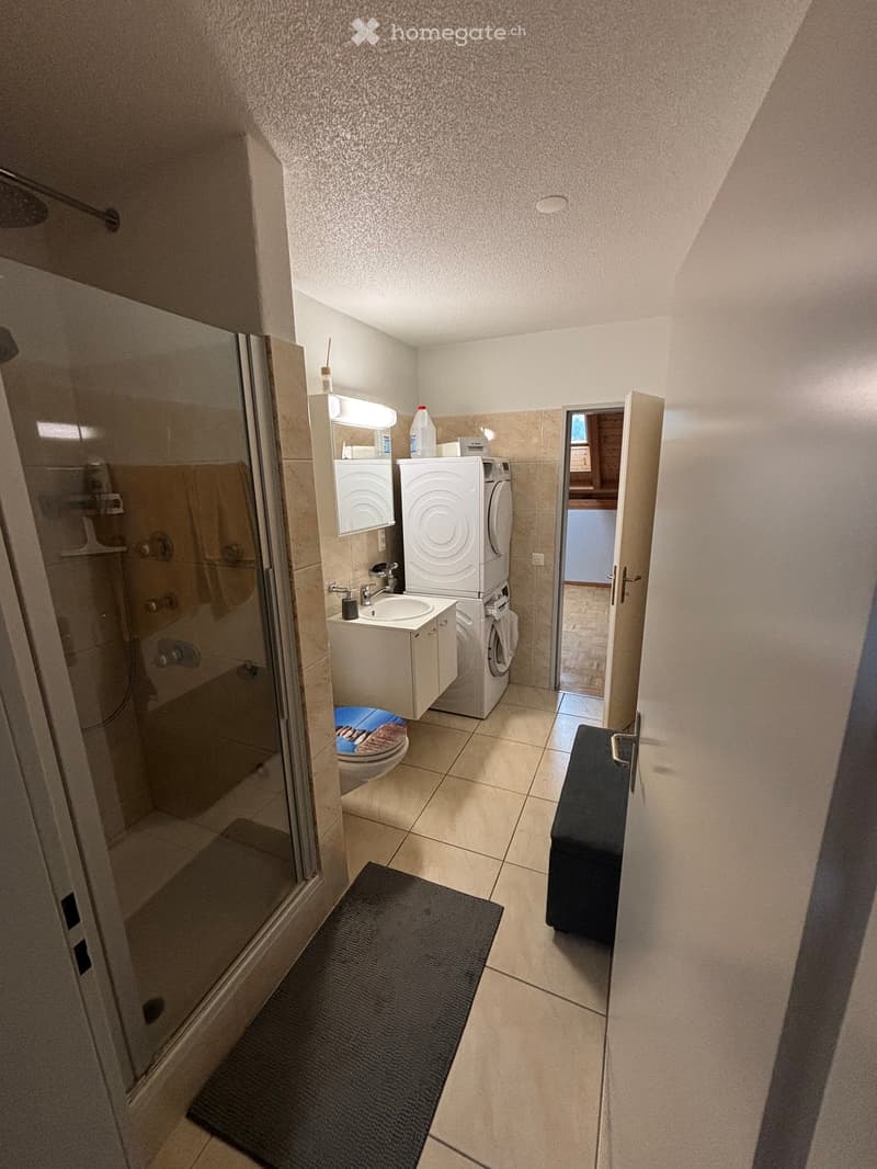 shower, sink, toilet, washing machine, dryer, floor-standing tiles, glass shower enclosure