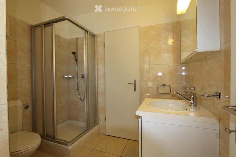 a shower, toilet, sink, faucet, and towel rack are in the bathroom