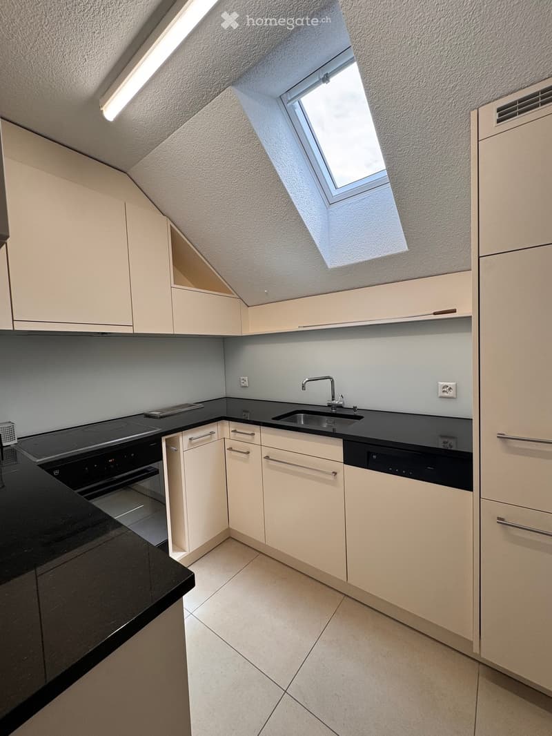 Modern kitchen with white cabinets, black countertops, and built-in appliances including an oven and dishwasher. Features a skylight window and sleek design.