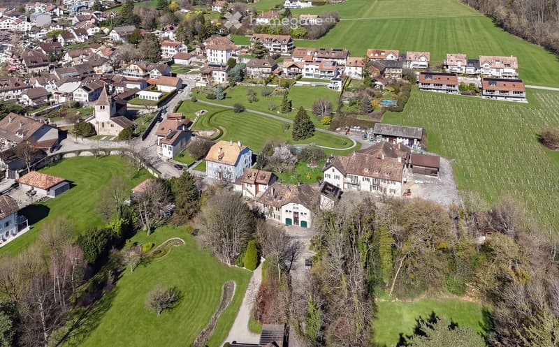 Aerial view of a village with many houses, green fields, and trees.