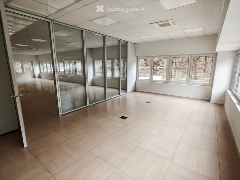 empty room, wooden floor, glass walls, windows, ceiling lights
