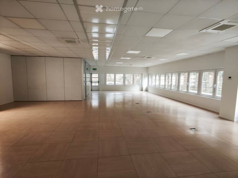 large empty room, wooden floor, white walls, large windows, ceiling lights