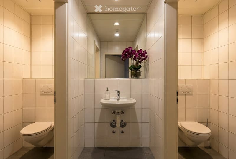 Bathroom: white tiled walls, white floor, mirror, white toilet on both sides, white sink with silver faucet, flower vase, soap dispenser, ceiling mounted lights