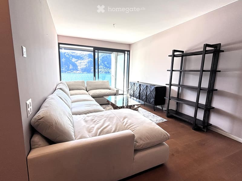 large sectional sofa, glass coffee table, black shelves, black cabinet, large windows, lake view