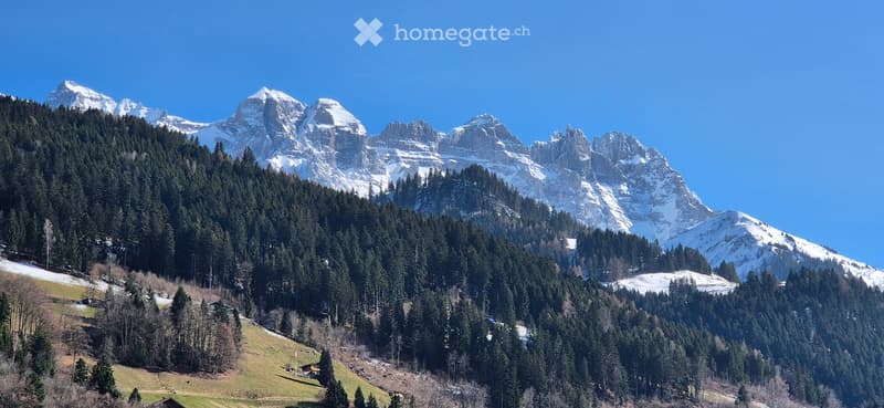 Mountain range with snow-capped peaks, dense forest, and a clear blue sky