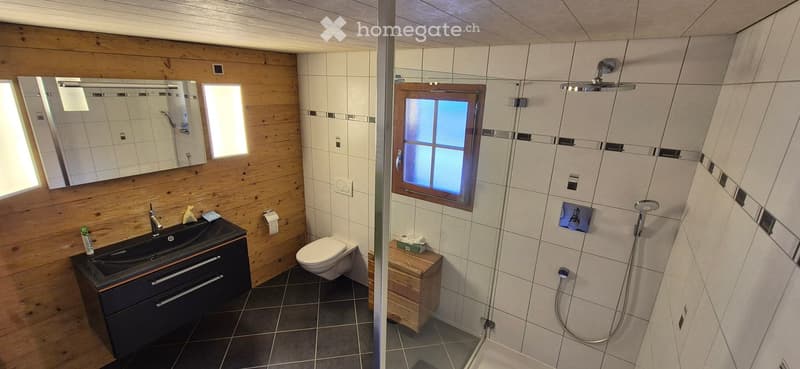 Bathroom with wooden wall, white tiles, glass shower, toilet, sink, mirror, wooden cabinet, tissue box, and shower head.