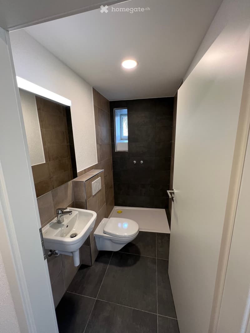 small bathroom with sink, toilet, and shower