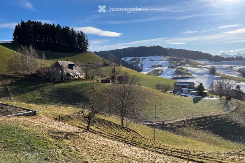 House on a hill, surrounded by green fields and trees, snowy mountains in the background