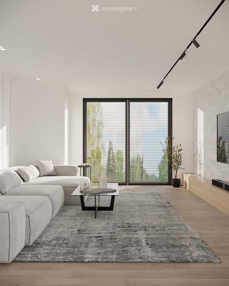 modern living room with large windows, white sofa, glass coffee table, wooden floor, rug, potted plant, TV