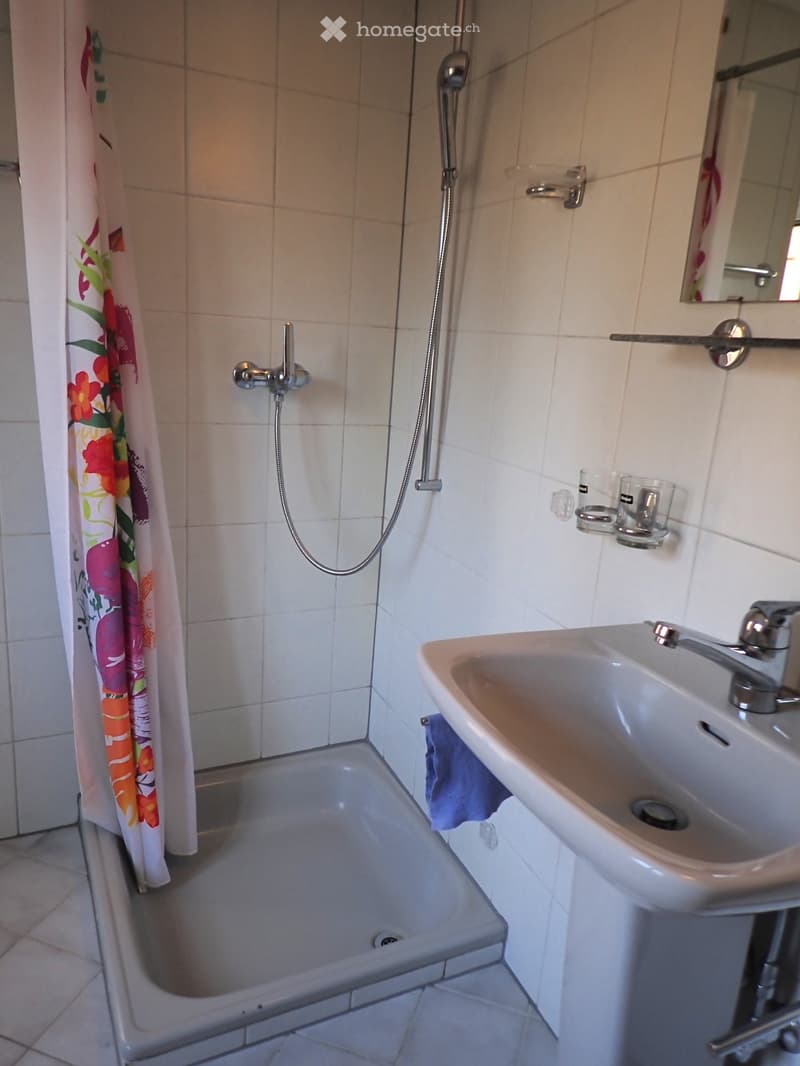 small bathroom with shower, sink, and mirror