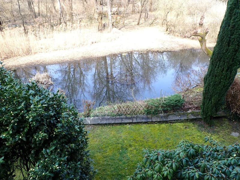 A garden with a pond, surrounded by trees and bushes, with a grassy area and a stone wall
