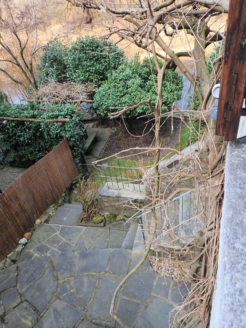stone steps, wooden fence, plants, tree, gravel path