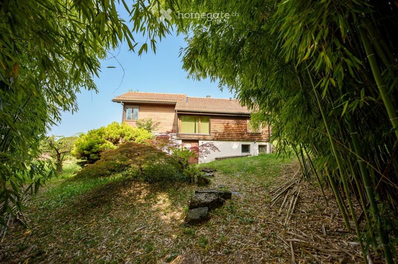 Wooden facade, red roof, white windows, surrounded by bamboo trees, located on a hill, stones path