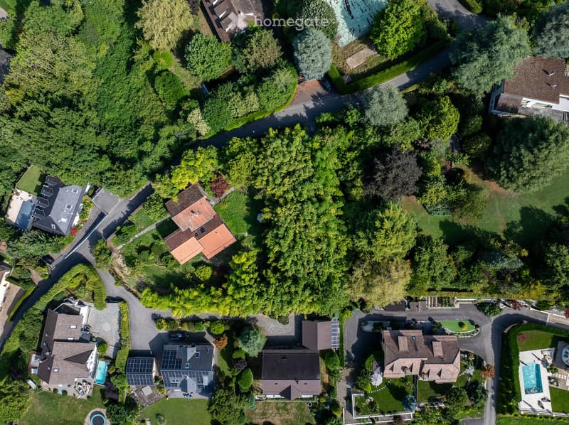 Cluster of houses in a rural setting, surrounded by trees and greenery, central house in the middle with multiple windows, visible driveways, and solar panels on some houses.