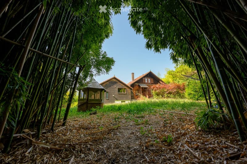 two wooden houses surrounded by bamboo, garden in front, clear sky