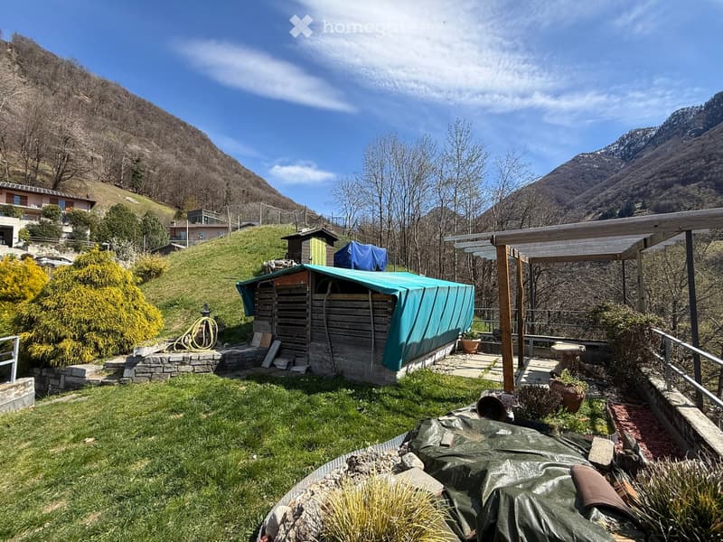 A garden with a wooden shed covered with a blue tarp, surrounded by a stone wall, and a wooden pergola. The garden is on a sloped terrain with a view of the mountains.