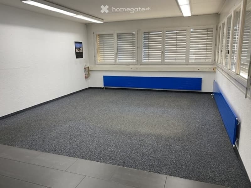empty room, white walls, gray carpet, blue radiator, windows with shutters, ceiling lights