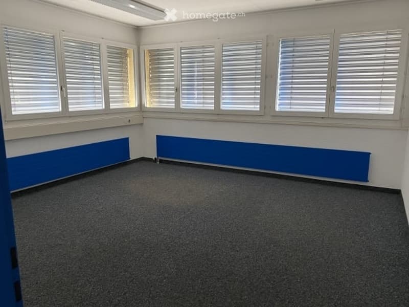 empty room, white walls, blue accents, carpeted floor, large windows, white shutters